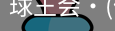 球王会
